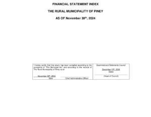 Financial Statement 2024-11