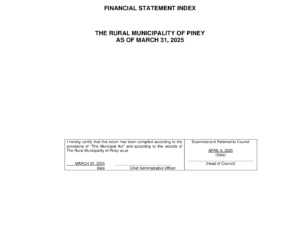 Financial Statement 2025-03