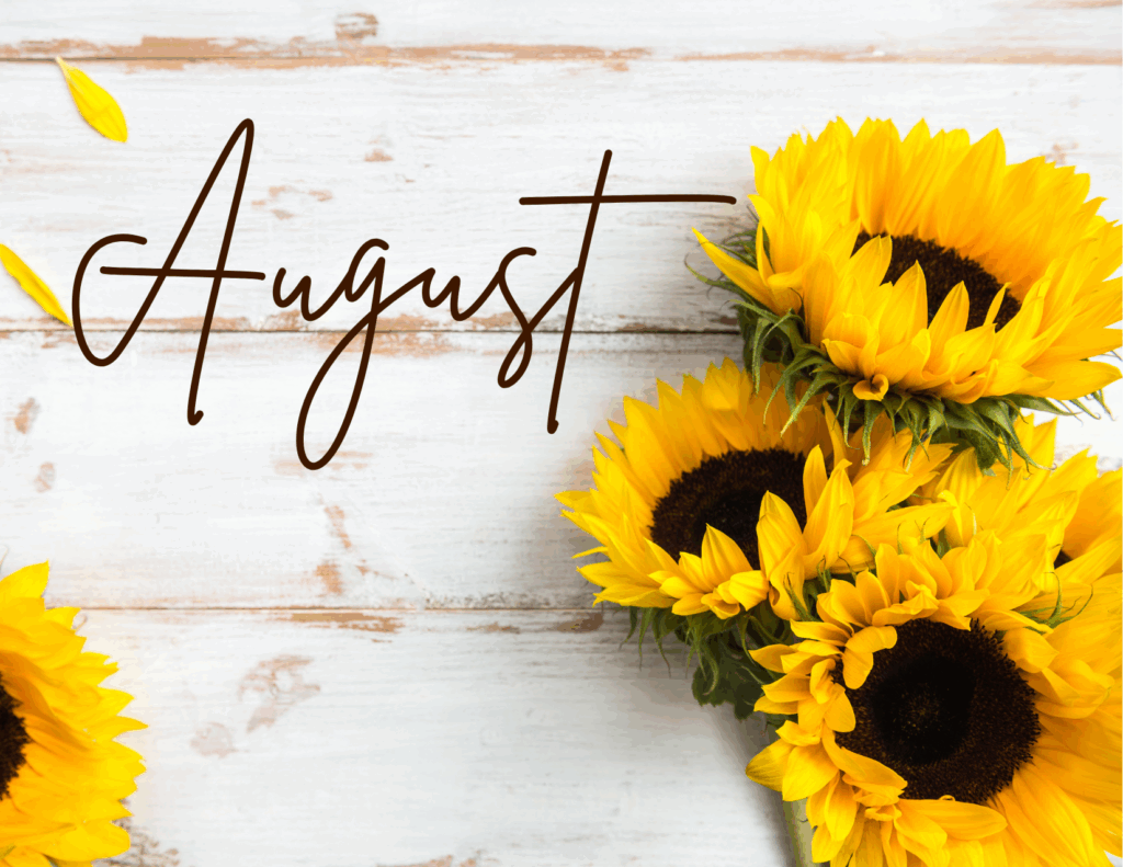 The August 2025 Newsletter with the most recent municipal updates is now available!