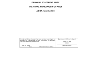 Financial Statement 2025-06