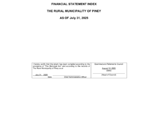 Financial Statement 2025-07