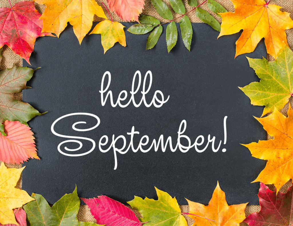 The September 2025 Newsletter with the most recent municipal updates is now available!