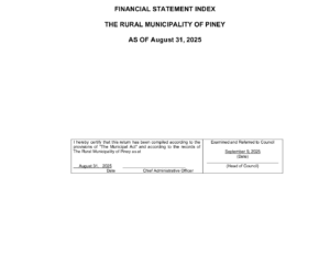 Financial Statement 2025-08