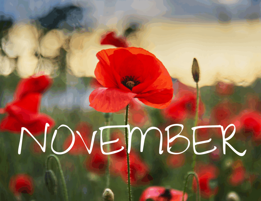 The November 2025 Newsletter with the most recent municipal updates is now available!