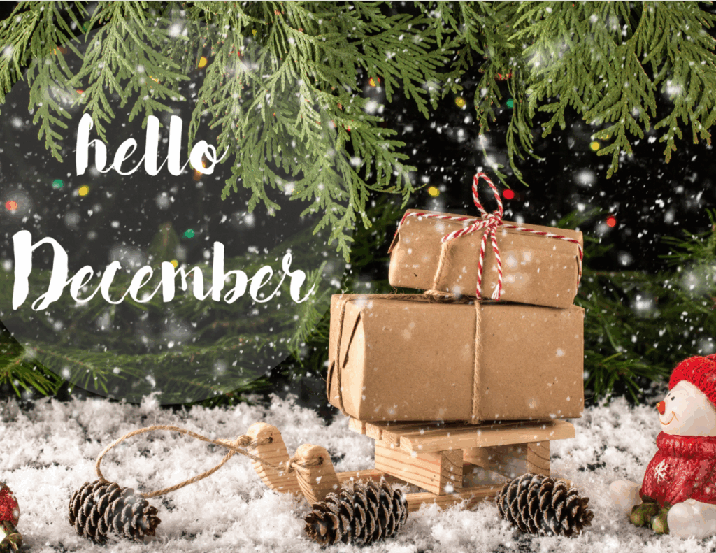 The December 2025 Newsletter with the most recent municipal updates is now available!