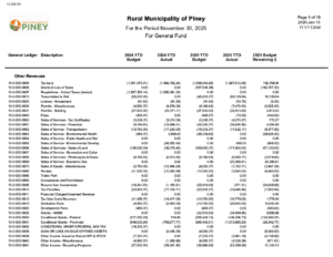 Financial Statement 2025-11
