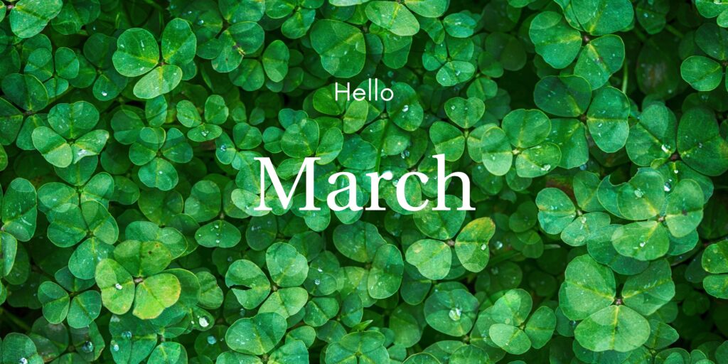 The March 2026 Newsletter with the most recent municipal updates is now available!