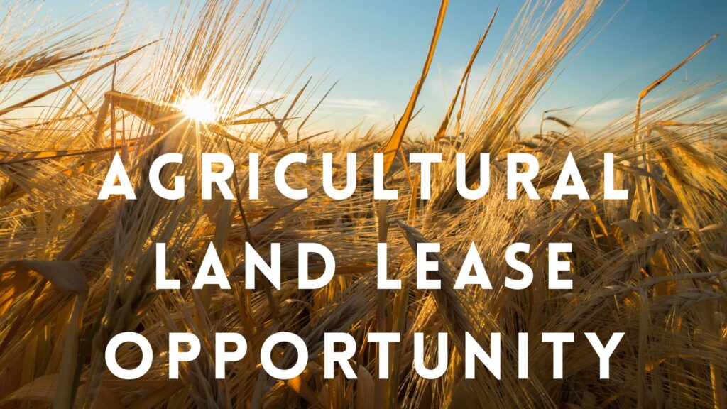 The RM of Piney is seeking proposals for a 7yr agricultural land lease on a parcel of land in Piney.