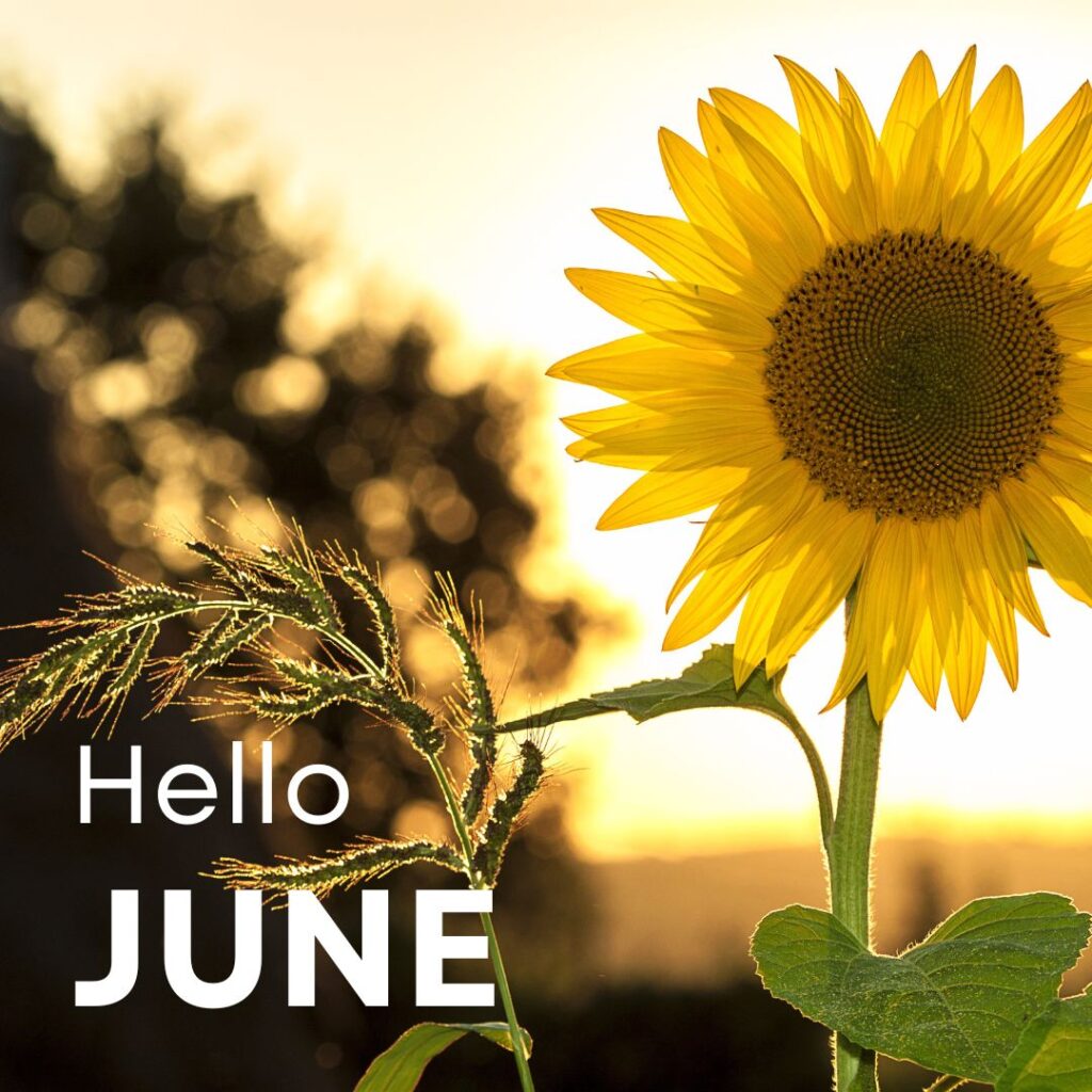 The June 2026 Newsletter with the most recent municipal updates is now available!