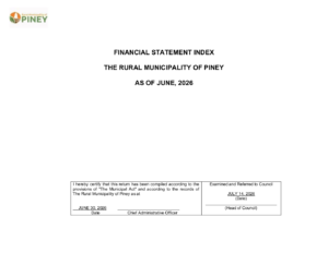 Financial Statement 2026-06