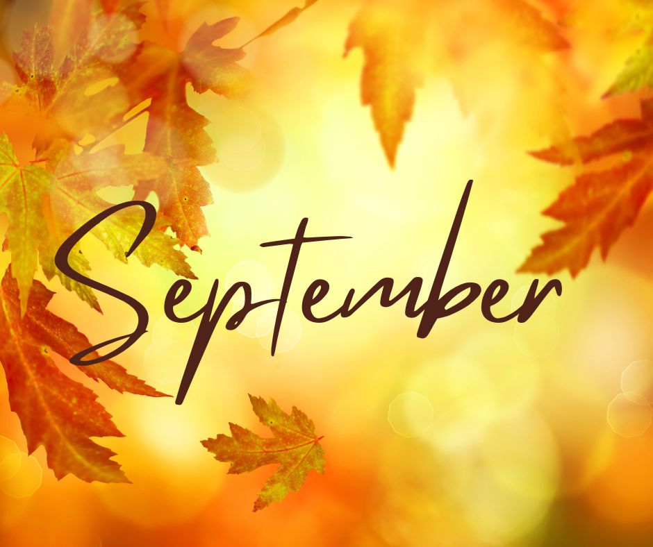 The September 2026 Newsletter with the most recent municipal updates is now available!