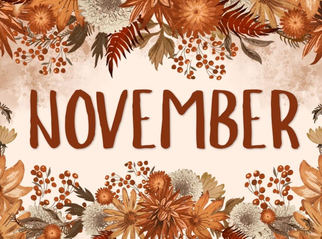 The November 2026 Newsletter with the most recent municipal updates is now available!